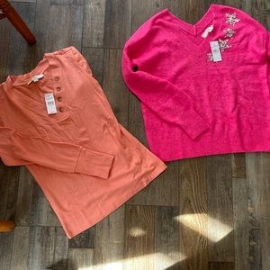 Set of two NWT Loft sweaters